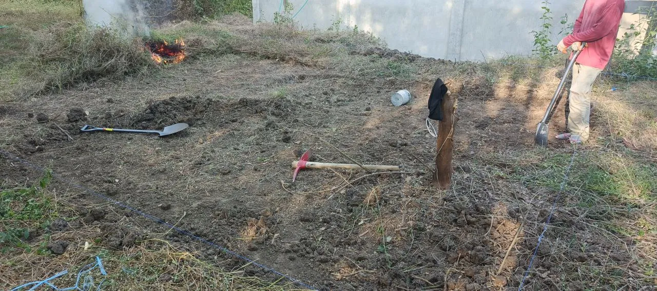 Excavation